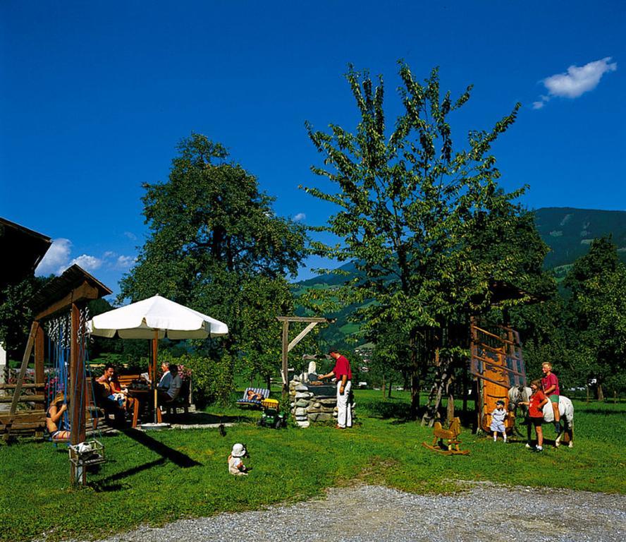 Palfnerhof Apartment *