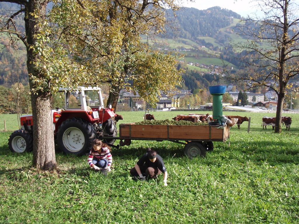 Palfnerhof