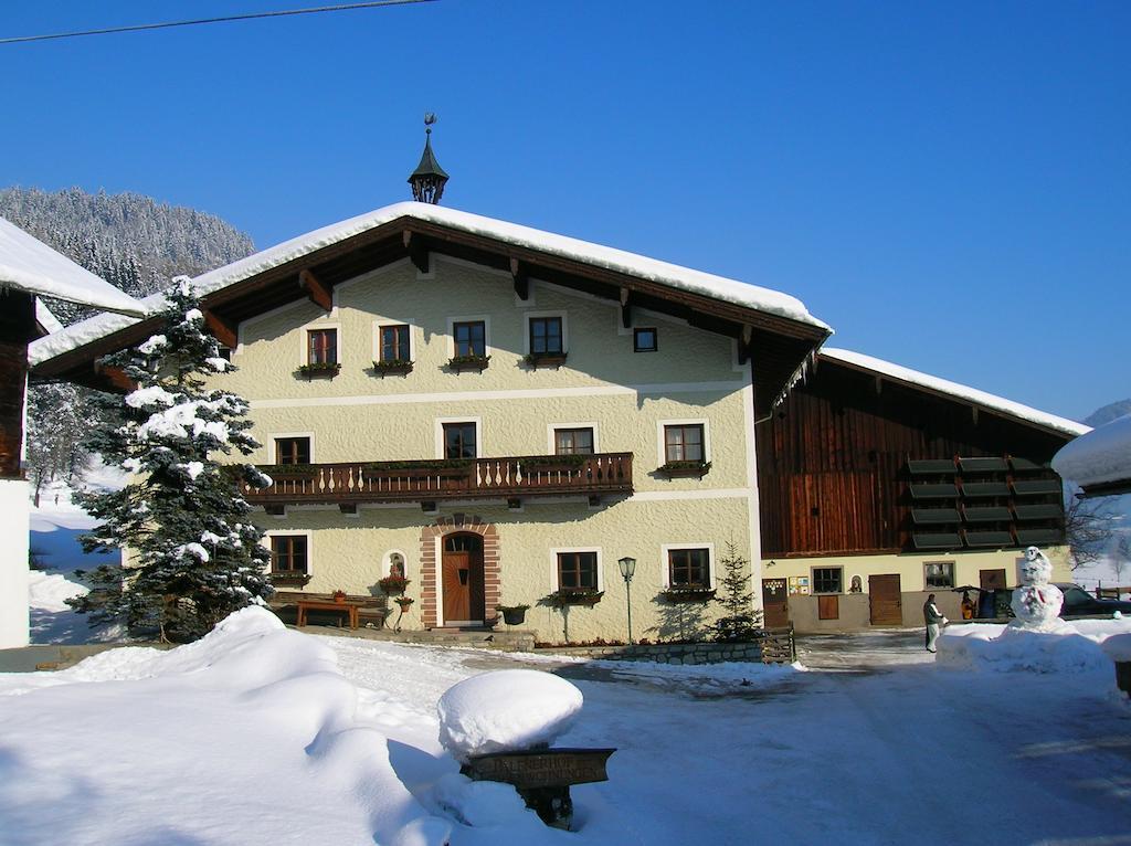 Apartment Palfnerhof *